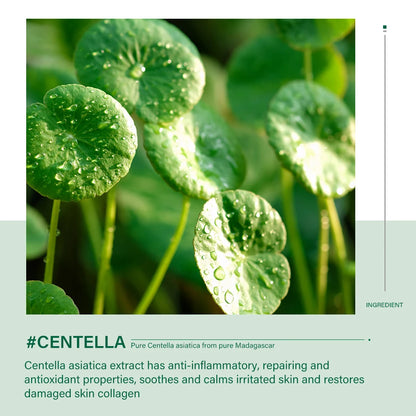 Centella Skin Care Set